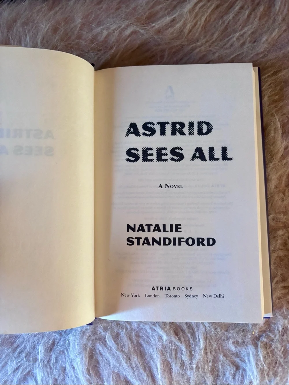 Astrid Sees All hardcover novel by Natalie Standiford